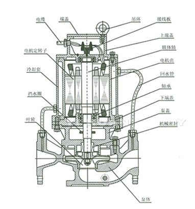 防爆電機(jī)噪聲產(chǎn)生的原因————防爆電機(jī)結(jié)構(gòu)圖