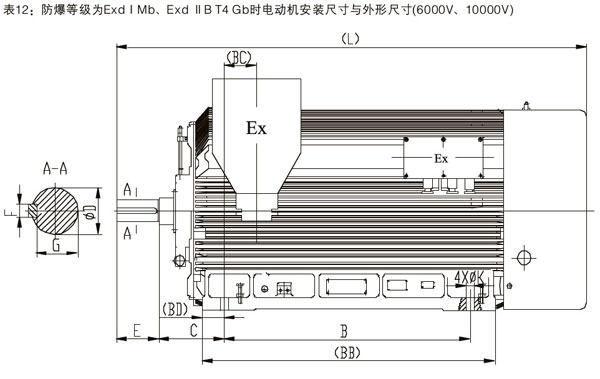 YBX3系列高效率高壓隔爆型三相異步電動機